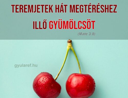 Isten műhelyében – Isten gyümölcsöt keres