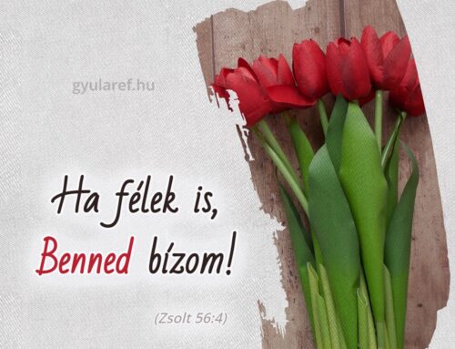 Isten műhelyében – Csodálatos vezetés