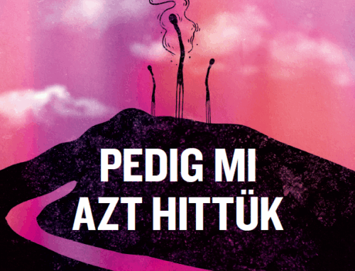 Bolyki László: Pedig mi azt hittük. – Recenzió