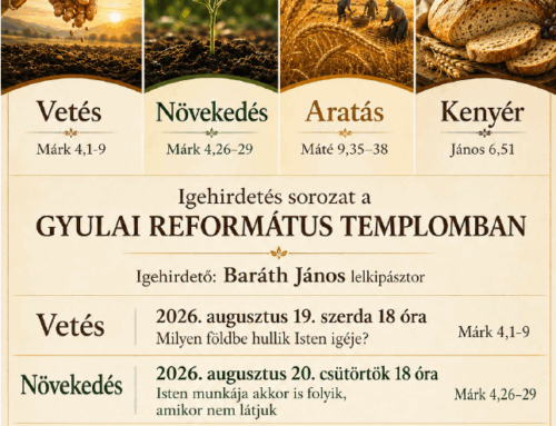 A magtól a kenyérig – Igehirdetés sorozat